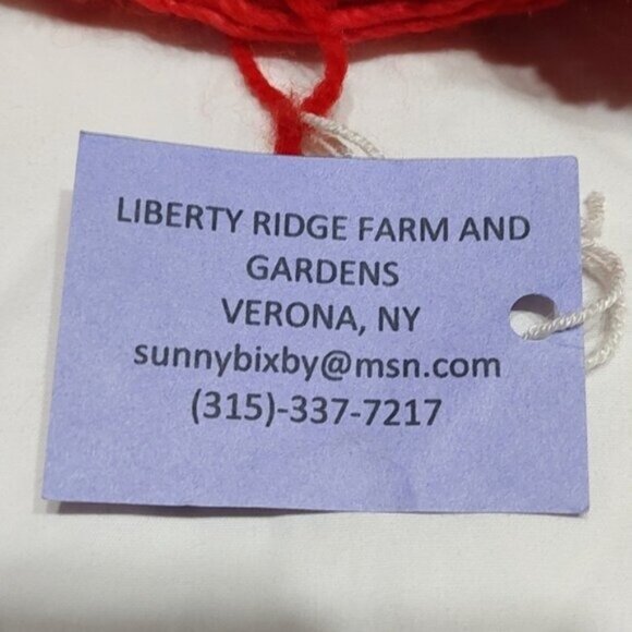 Liberty Ridge Red Hand Dyed Deschutes Silk/Wool Yarn - Picture 3 of 4